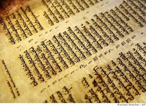For The Love of Torah – The Essence of Jewish Education