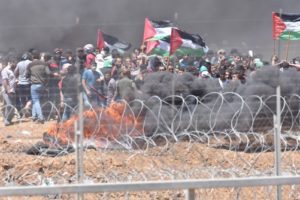 Innocent Gaza Rioters