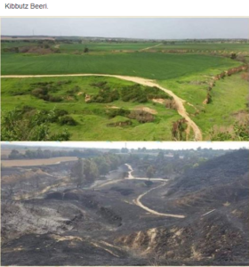 Before and After...the Fields of Kibbutz Beeri